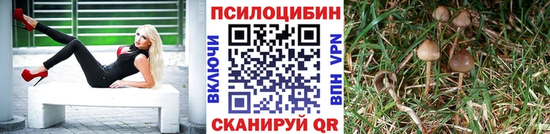 Псилоцибиновые грибы мицелий  Пролетарск 